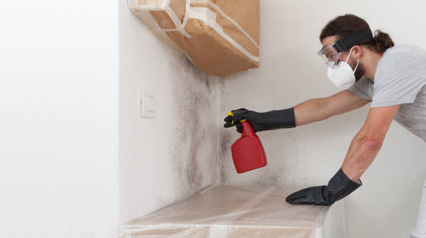Professional Basement Mold Remediation technician working in Columbia, MD