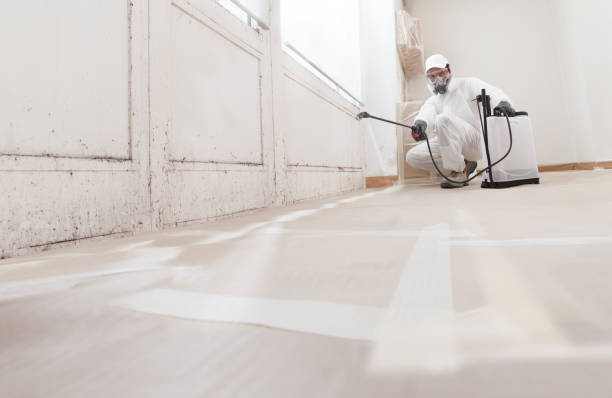 24/7 Emergency Basement Mold Remediation experts in Columbia, MD