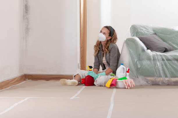 Reliable Basement Mold Remediation contractor in Columbia, MD by Mold Remediation HQ